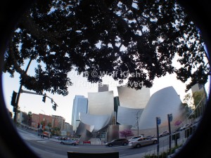 Walt Disney Concert Hall Los Angeles Stock Photo By Wolf Kesh       